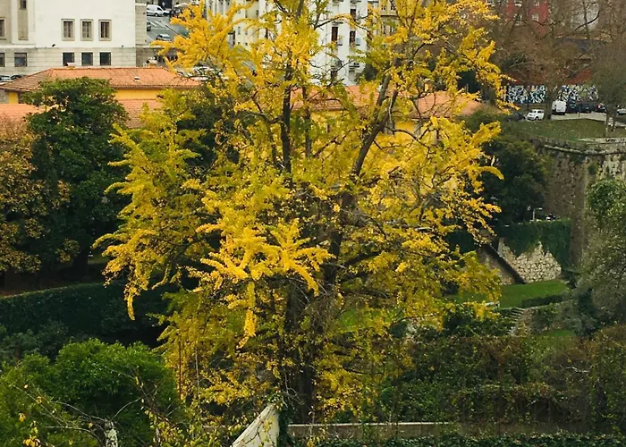 Apartamento Loveporto Varanda Jardim Centro *